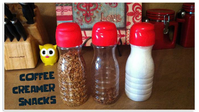 Ways To Reuse A Coffee Creamer Container - Reuse Grow Enjoy
