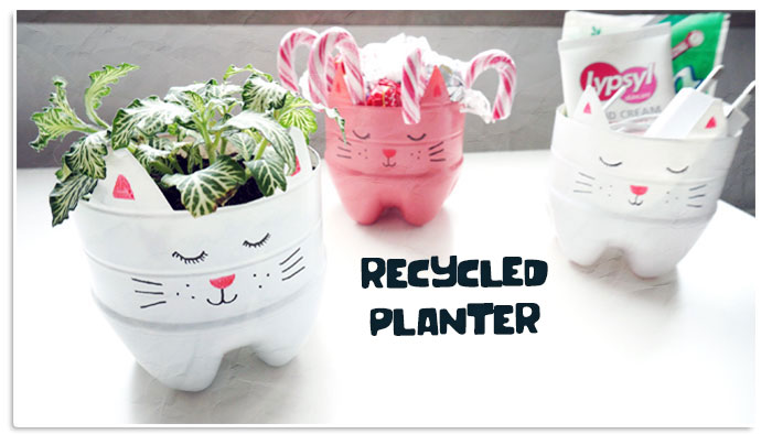 recycled crafts from plastic bottles