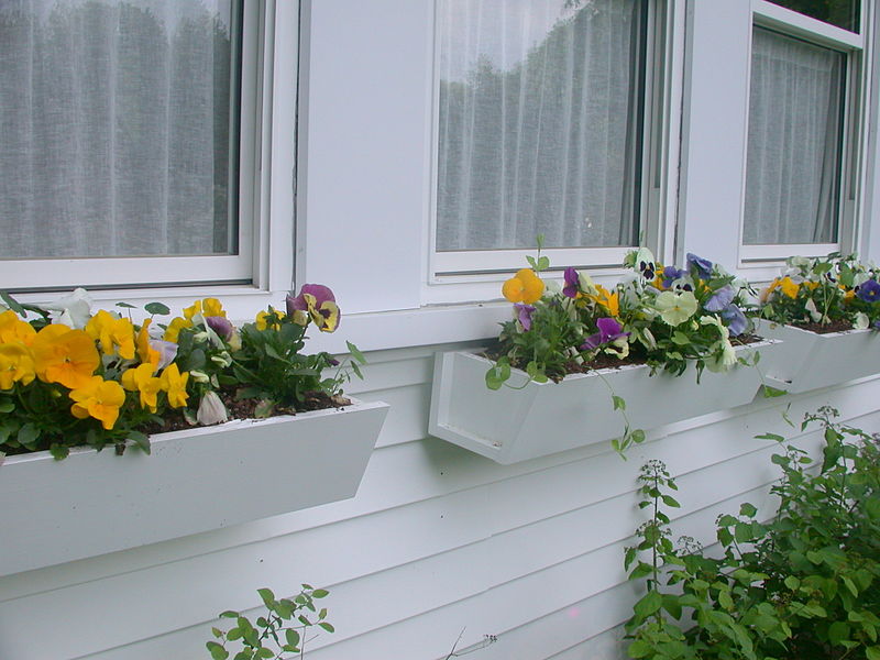 window box