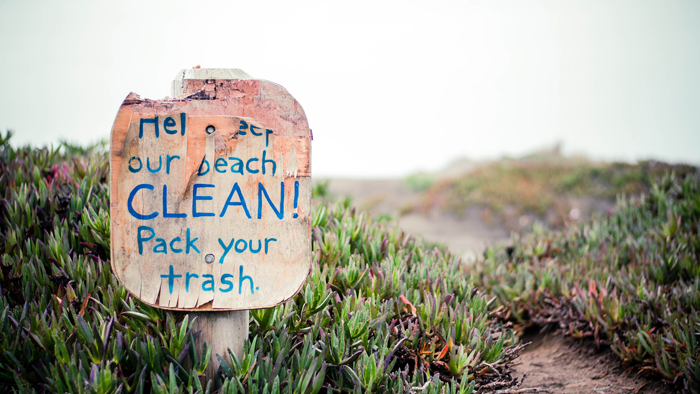 How Nonprofit Organizations Are Cleaning Up The Ocean The Fill   Beach Pickup Trash 