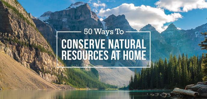 50 Ways To Conserve Natural Resources At Home Budget Dumpster