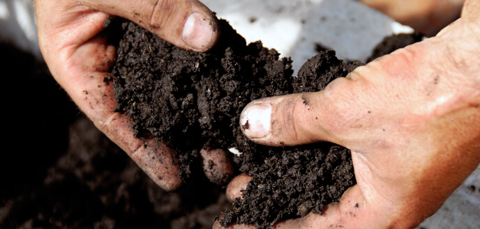 flower-bed-soil