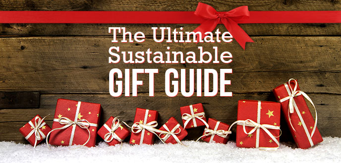 Sustainable Gift Ideas For Everyone On Your List | Budget Dumpster