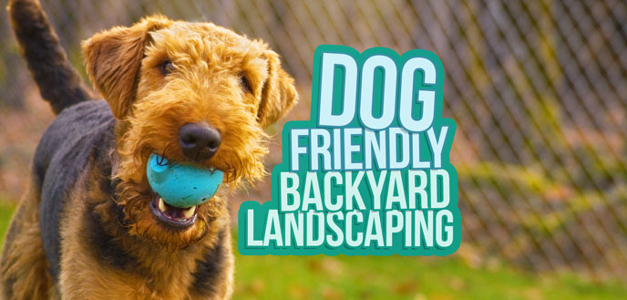 Dog friendly backyard landscaping ideas