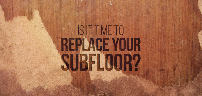 9 Signs That It S Time To Replace Your Subfloor Budget Dumpster