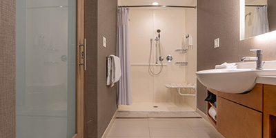 Accessible Bathroom With Curbless Shower, Handles and Bench