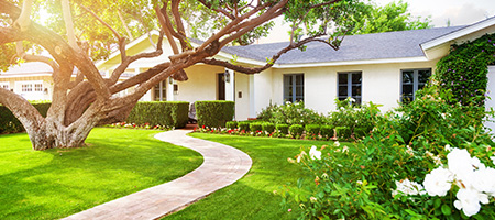 White House and Green Front Yard With Tree and Bushes