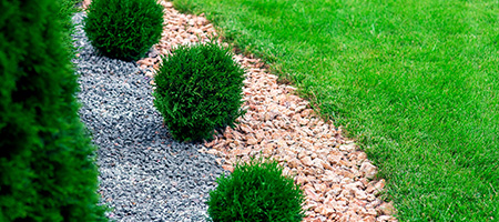 Garden With Shrubs and Stone Edging