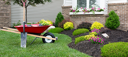 Wheelbarrow and Shovel Outside of a First-Time Homeowners House