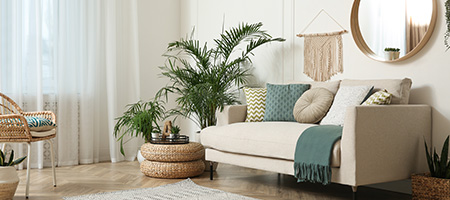 Living Room With Mirror, Couch and Plants