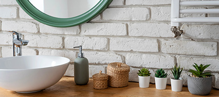 Modern Bathroom With Succulents on Counter