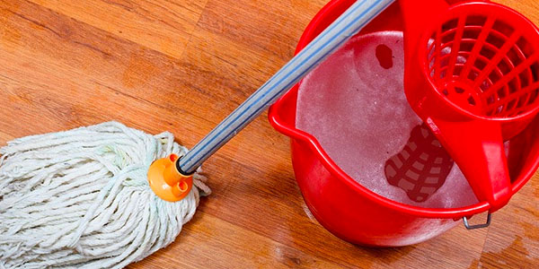 Mop and Bucket to Clean Wet Floors