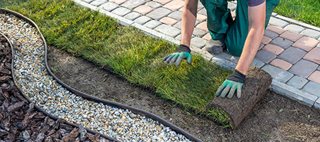 A homeowner adding modern exterior landscaping.