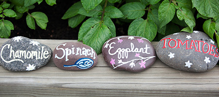 Rocks Labeled With Paint for Vegetable Garden