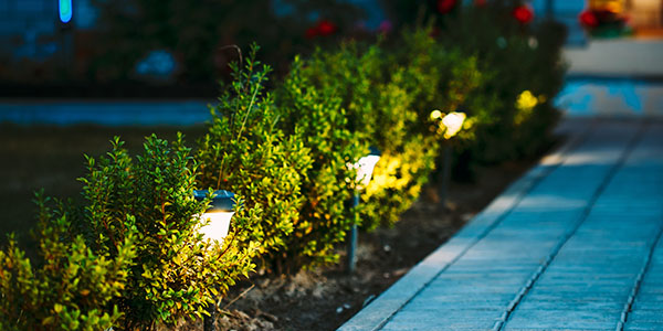 Stone Path With Lights and Shrubs