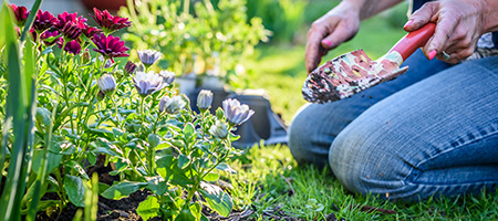 Woman Planting Colorful Perennials