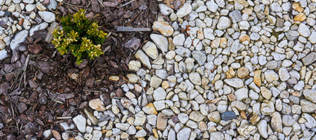 Rock Mulch and Wood Mulch in Garden