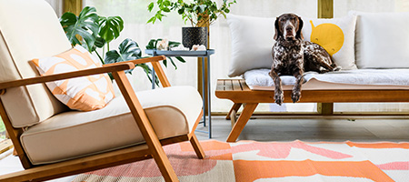 Screened Porch With Colorful Rug and Dog