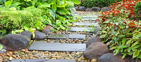 Stone Pathway Surrounded by Plants