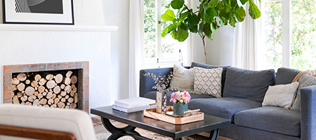 Stylish Living Room With Large Plant in Corner