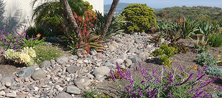 River Rocks and Drought-Tolerant Plants