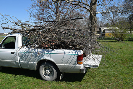White Pick Up Truck Filled With Tree Branches