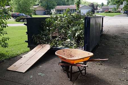 Dumpster Filled With Tree Branches and Other Yard Waste
